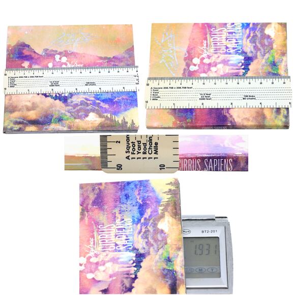 Skytree - Cirrus Sapiens Autographed Signed CD w/ Custom Art - Picture 11 of 11